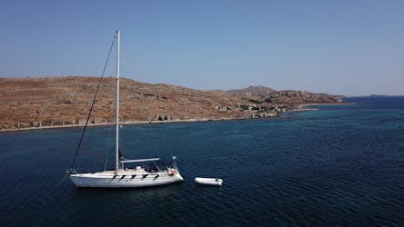 Morning sailing tour to Delos and Rhenia from Mykonos with lunch